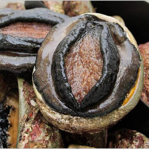 Sản phẩm test loại 2 (1)