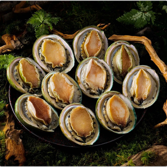 Sản phẩm test loại 2 (1) (1)