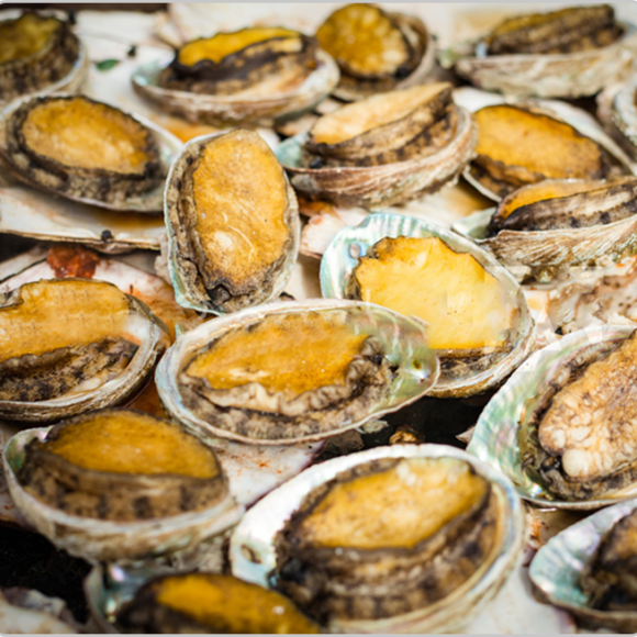 Sản phẩm test loại 1 (1)