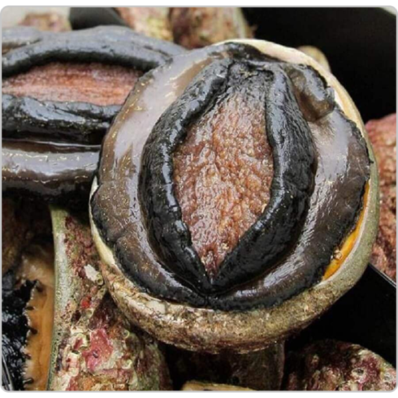 Sản phẩm test loại 2 (1)